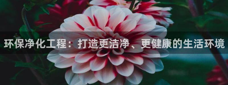 彩名堂全天计划：环保净化工程：打造更