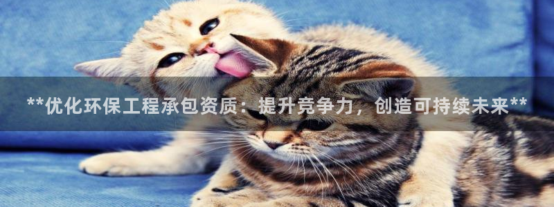 下载彩名堂预测计划软件安卓：**优化