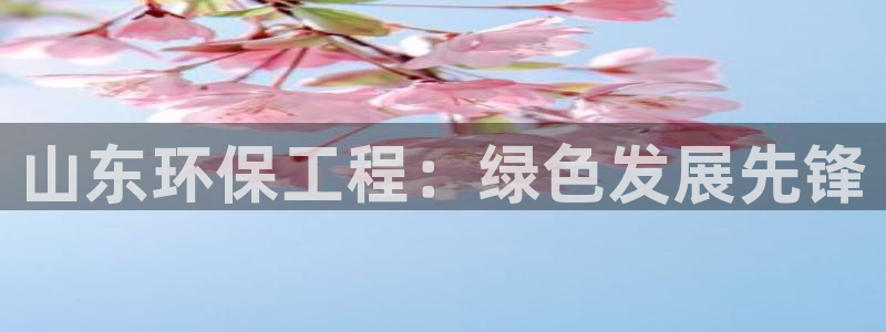 彩名堂预测免费计划怎么看的：山东环保