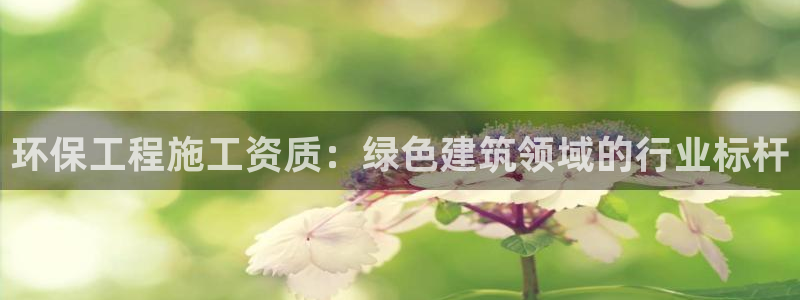 彩名堂.netnet：环保工程施工资