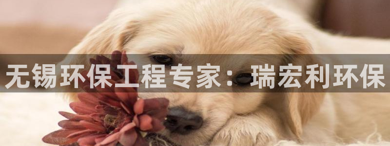 彩名堂是不是不能用了吗：无锡环保工程
