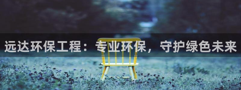 彩名堂50版本计划：远达环保工程：专