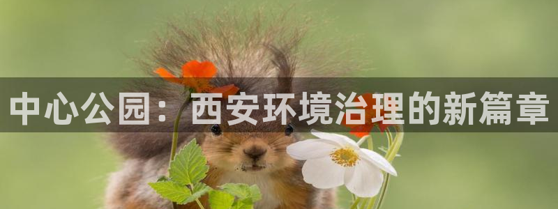 彩名堂客户端是永久免费吗安全吗：中心