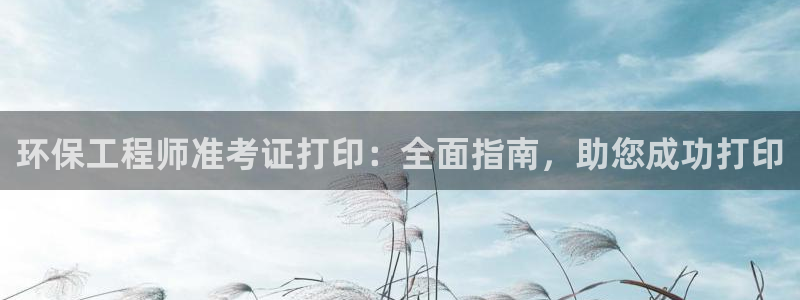 彩名堂.netnet：环保工程师准考证打印：全面指南，助您成功打印