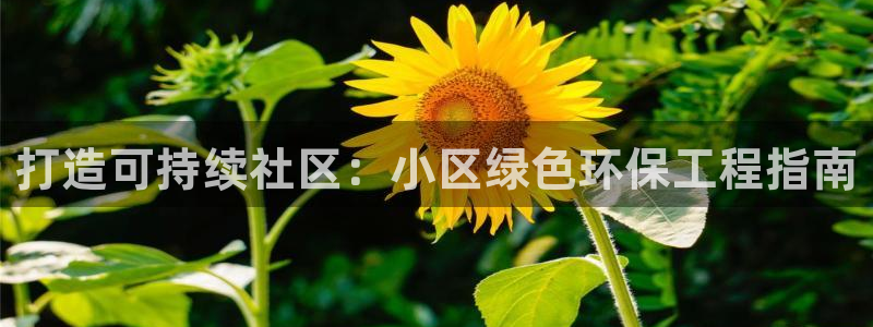 彩名堂最新版www：打造可持续社区：
