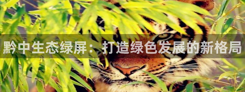 彩名堂手机版官网：黔中生态绿屏：打造