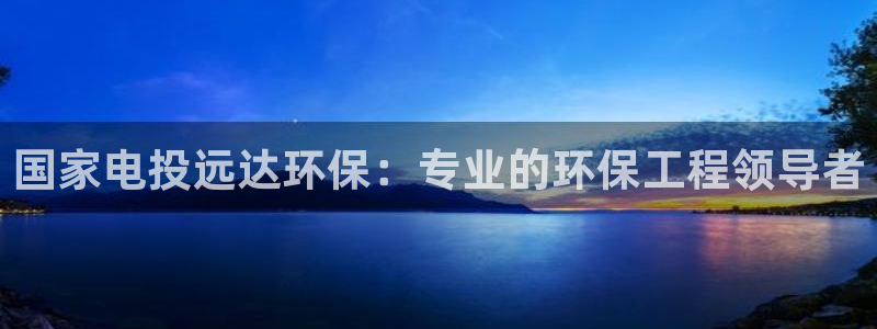 彩名堂用不了：国家电投远达环保：专业