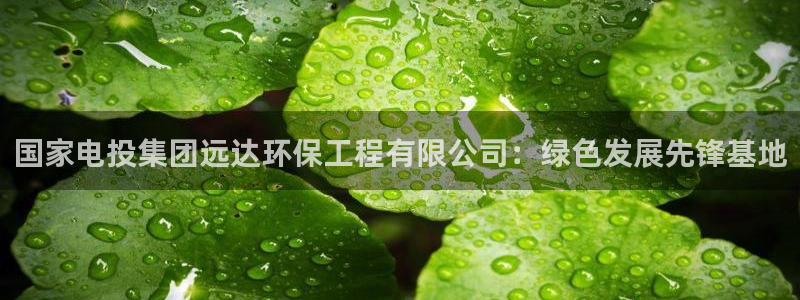 彩名堂5.0!：国家电投集团远达环保