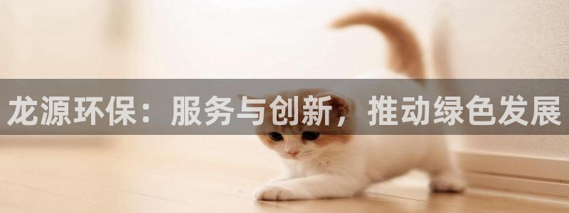 彩名堂官网在线计划怎么不更新了：龙源