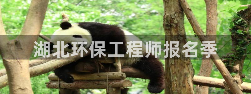 彩名堂官网客户端：湖北环保工程师报名