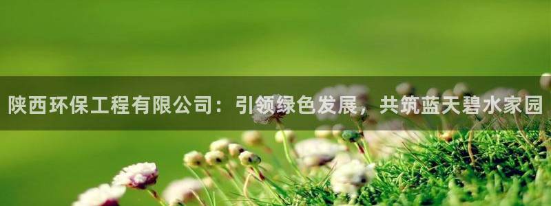彩名堂网页：陕西环保工程有限公司：引