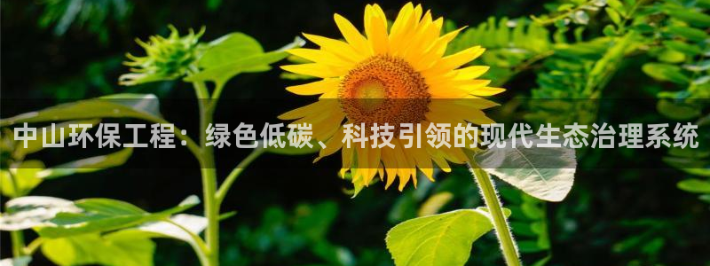 彩名堂一直不出结果怎么回事呢：中山环