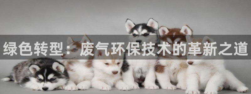 彩名堂免费计划官网5.0.0：绿色转