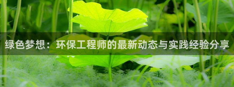 彩名堂4.3：绿色梦想：环保工程师的