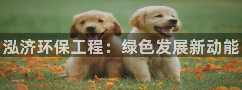 彩名堂用不了：泓济环保工程：绿色发展