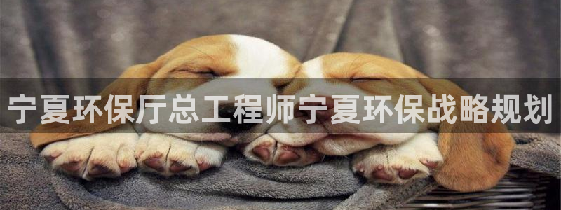 彩名堂免费计划官网50：宁夏环保厅总