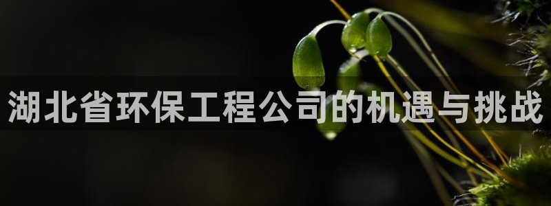 彩名堂计划技巧：湖北省环保工程公司的