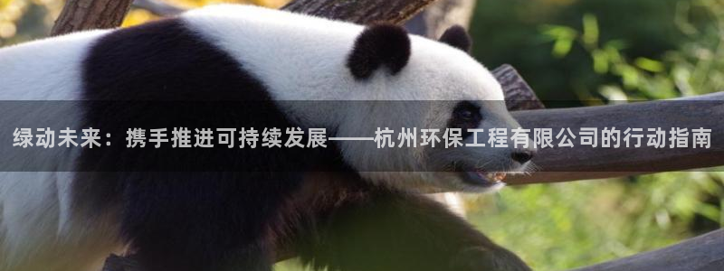 彩名堂彩：绿动未来：携手推进可持续发
