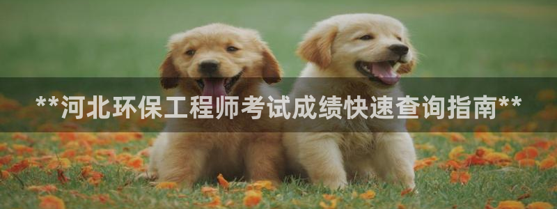 彩名堂官网2：**河北环保工程师考试成绩快速查询指南**