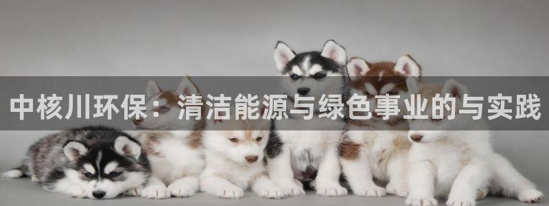 下载彩名堂预测计划软件安全吗：中核川环保：清洁能源与绿色事业