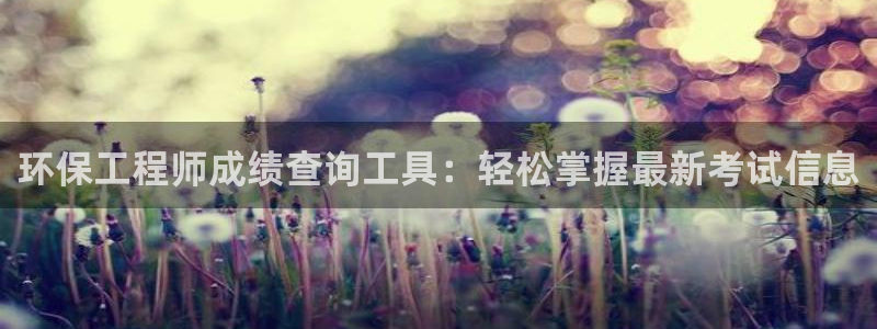 彩名堂排三：环保工程师成绩查询工具：轻松掌握最新考试信息