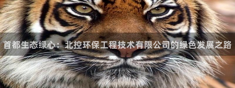 彩名堂免费计划使用方法：首都生态绿心：北控环保工程技术有限公