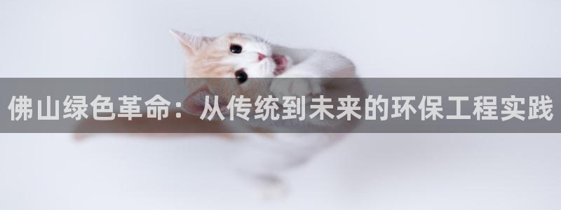 彩名堂怎么买准确率高：佛山绿色革命：从传统到未来的环保工程实