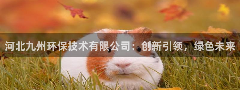 彩名堂975新版本：河北九州环保技术