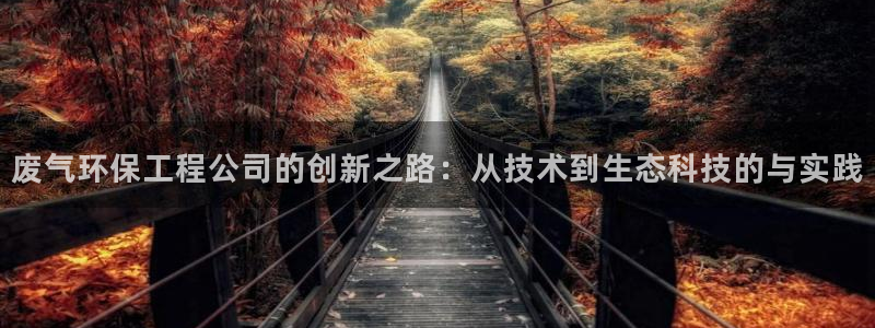 彩名堂预测软件与分析软件区别：废气环保工程公司的创新之路：从