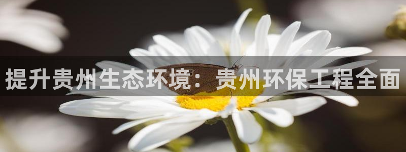 彩名堂加拿大怎么买准确率高：提升贵州生态环境：贵州环保工程全