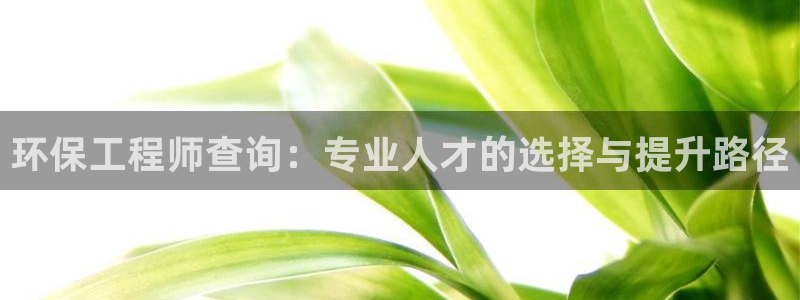 彩名堂官网在线计划：环保工程师查询：专业人才的选择与提升路径