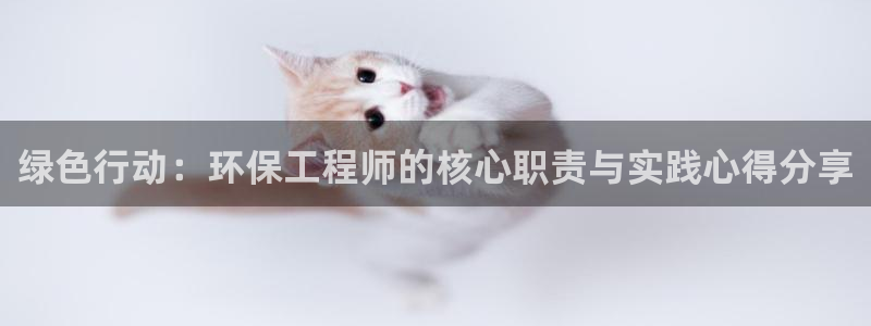 彩名堂一直不出结果怎么回事儿：绿色行动：环保工程师的核心职责