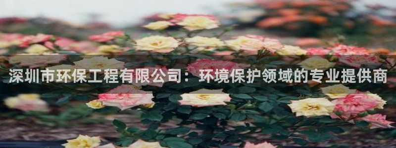 彩名堂客服：深圳市环保工程有限公司：环境保护领域的专业提供商