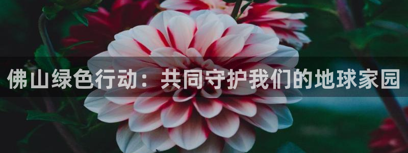 彩名堂官方平台：佛山绿色行动：共同守