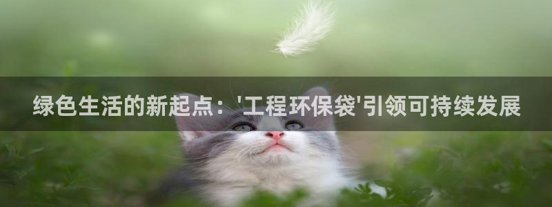 彩名堂计划app安卓免费下载：绿色生