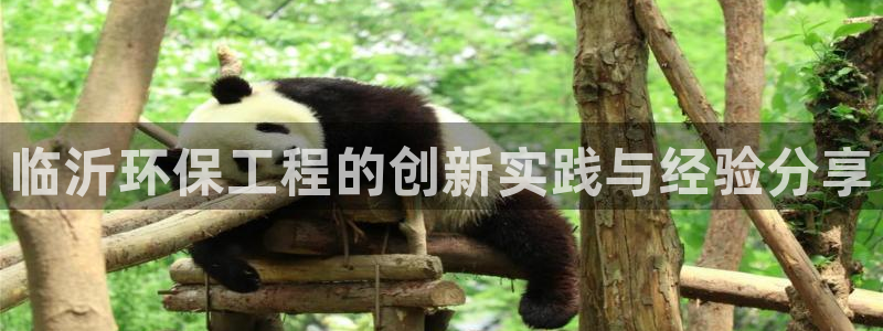 彩名堂怎么选稳定计划产品：临沂环保工