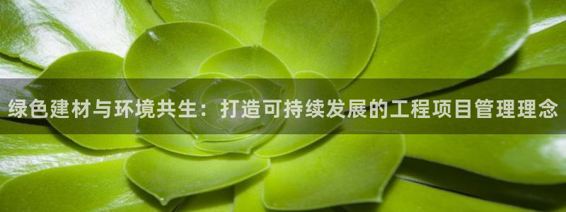 彩名堂免费计划官网怎么进不去了：绿色