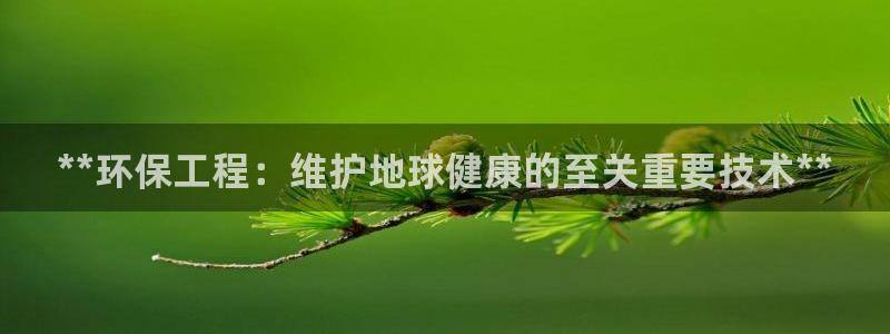 彩名堂预测软件与分析：**环保工程：