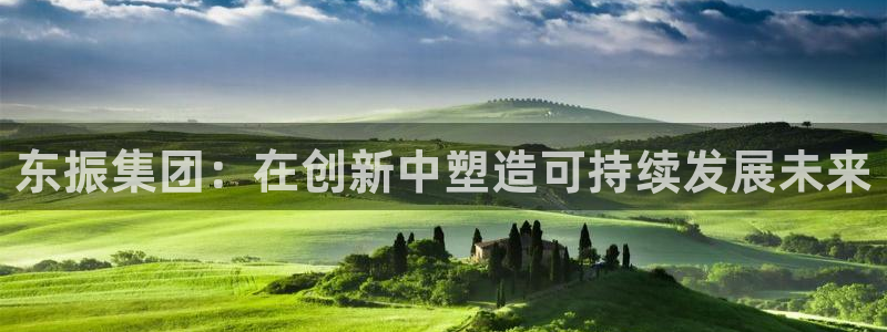 彩名堂一直不出结果怎么回事：东振集团