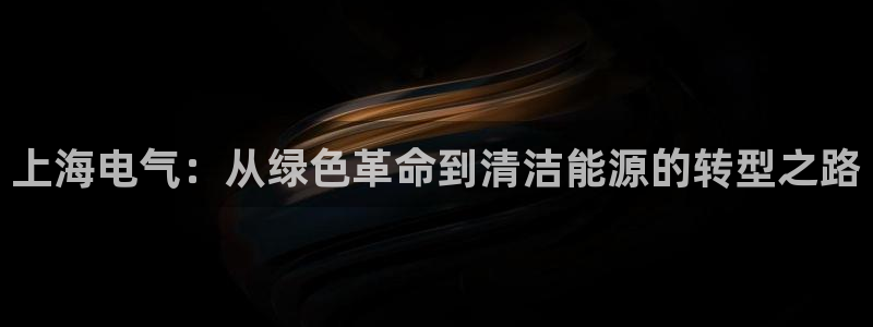 彩名堂官网计划怎么下载：上海电气：从